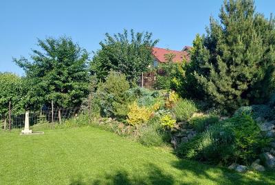 Casa individuala cu teren 750mp, garaj, beci, terasa - Dezmir, zona centrala - 13