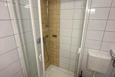 Apartament de lux de închiriat în Ștrand, lângă Parcul Sub Arini - 13
