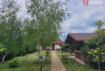 Casa deosebita in Sacalaz - vatra satului la 15 minute de Timisoara - 21