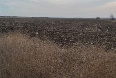 Terenuri intravilane de vanzare Focsani ,4,5 Ha Focsani - 12