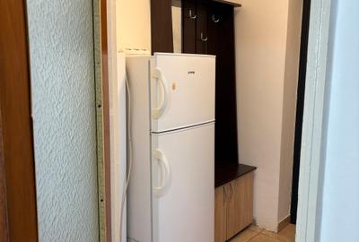 Elev Ștefănescu -Pantelimon - 19