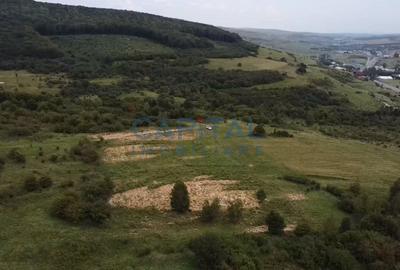 Fara comision! Teren 1000 mp, front 25 ml, PUZ in lucru, zona buna, Feleacu - 1