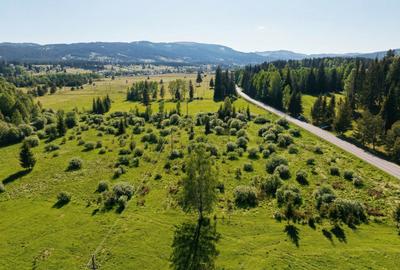 12700 mp investitie rezidențială- turistică- medicală Tinovul Mic/Șaru Dornei - 10
