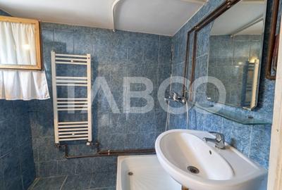 Casa de vanzare individuala  756 mp teren Sura Mare zona deosebita - 12
