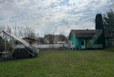 Investitie: Casa cu teren constructii si pastravarie - Prejmer, Brasov - 3