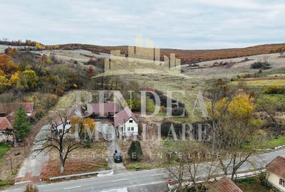 Oportunitate investitie: două reședințe de vacanță/ cabane 3940mp teren - 12