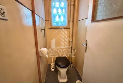 Casa individuala cu 3 camere de vanzare in zona Girocului, Timisoara - 9