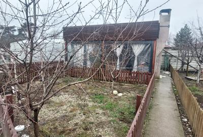 Se vinde casa, plus hala cu panouri solare, teren, zona Branesti-Pasare - 3
