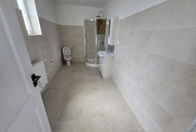 Casa 3 camere, renovată,90 mp, 3500 mp teren, cartier Unirii - 7