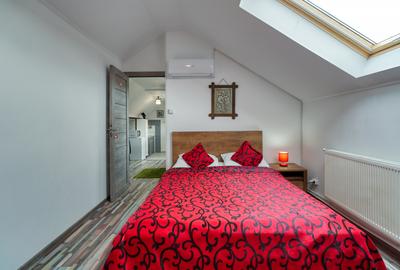 Rasnov, proprietate superba, rezidential si afacere la cheie - regim hotelier - 11