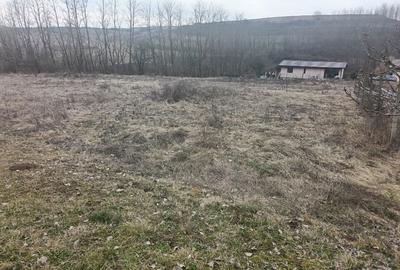 Teren intravilan cu PUZ aprobat si toate utilitatile - 3