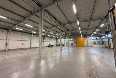 COM 0% Hala industriala 1035 mp utili |  Zona Mehala - 1