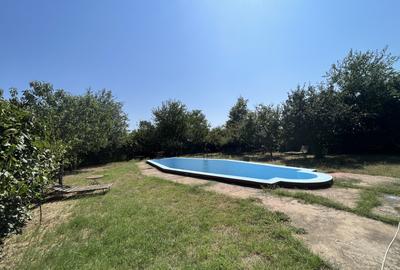 Popas La Doi Brazi - magazine, bar, terasă, casă boierească, grădină și piscină - 20