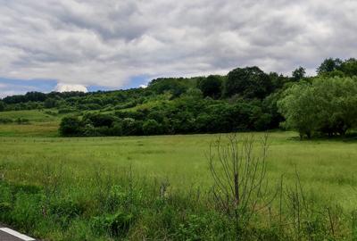Teren la pădure, panoramic dealuri si păduri, curent si asfalt - 10