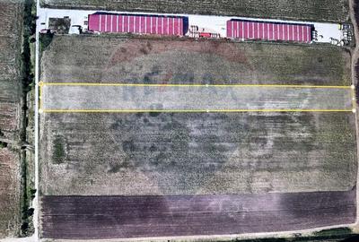 Teren 10,000mp Otopeni / Drumul Garii Odai - 1