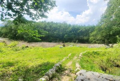 Casa de vacanta superba cu lac Rasnov-Glejerie - 15