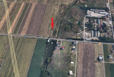 Teren intravilan 1.310 mp de vânzare în Afumați – potrivit hale - 1