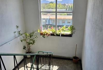 Apartament 2 camere Craiter LIDL - 15