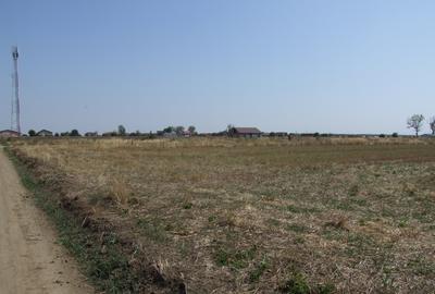 Domnesti-Teghes, teren 9.817 mp strada Pinului - 6