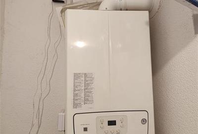 Casa singur in curte - Florilor - 5