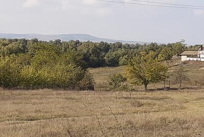 OCAZIE:Teren intravilan Tulcea-19euro/m.p. - 11