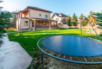 Vilă P+E+M cu 4 camere, 320 mp, Berceni/Ilfov - 1