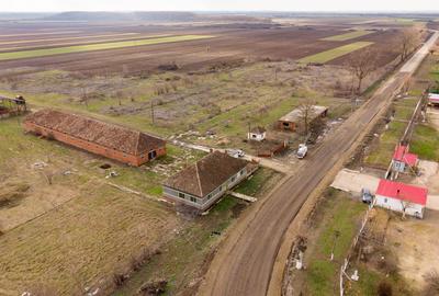 Fermă cu teren intravilan de 35000 mp în Mișca - 24