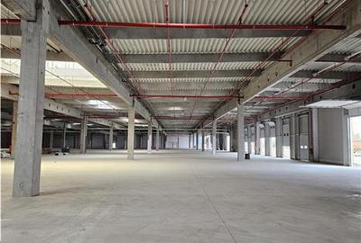 Spatiu Industrial - 4000 mp - Logistica - Productie - Depozitare - Distributie - 9