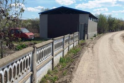 Casă cu hală industrială Drăguțești - 2