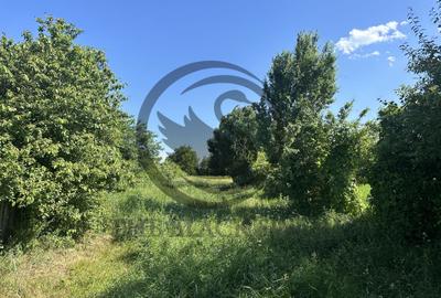 Teren Vanzare 11.000 MP Ghirdoveni | Comision 0% - 6