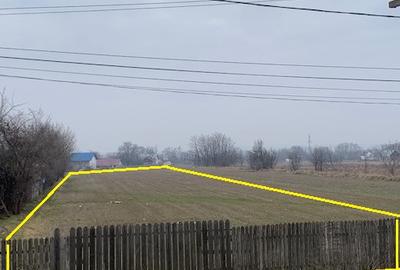 Teren de vanzare 7.123 mp intravilan, Buhusi - 8