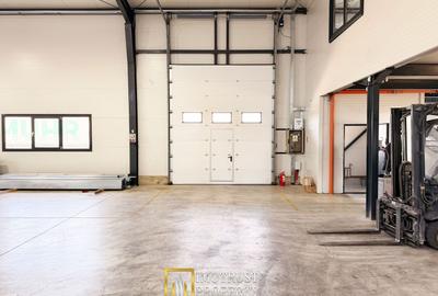Hala industrială închirere – Vladimirescu, jud. Arad 500 mp - 2