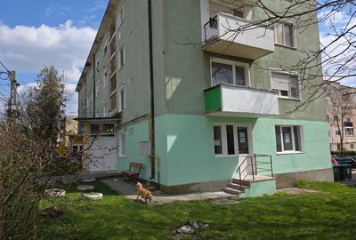 Apartament cu 2 camere , ultracentral , bun pt birouri in orasul Baraolt - 7