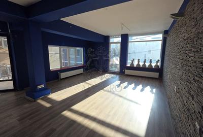 Vila Individuala | Putul Lui Zamfir - Dorobanti | 2002 | 238 mp utili - 6