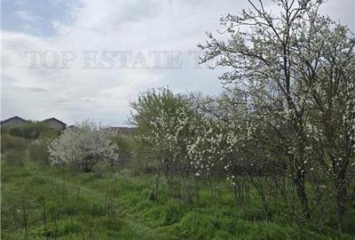 TEREN INTRAVILAN la 20 minute de Bucuresti - 5