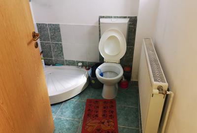 Casa P+M, Trivale - Cornu Vanatorului, teren 250 mp - 6