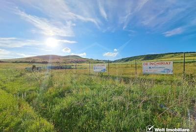 Teren de vanzare – 900 mp si 2000 mp, zona centura Donath - Floresti - 2