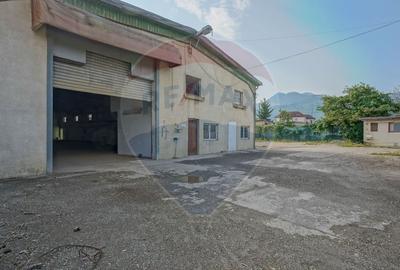 0 Comision | Spatiu industrial | Hala | Brasov - 9