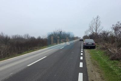 Teren 3000 mp dublu acces – vedere la Dunăre - 6