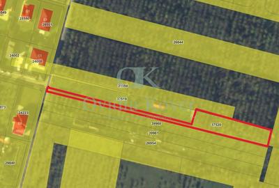 Teren Extravilan de Vanzare - 3