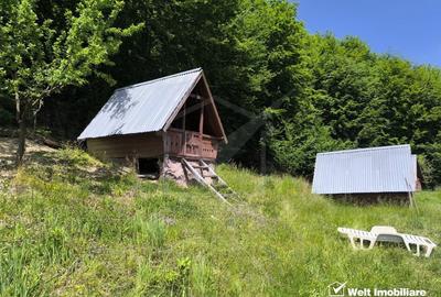 Casa de vacanta, cu lac, 5640 mp teren, Huta, com. Chiuiesti, jud. Cluj - 23