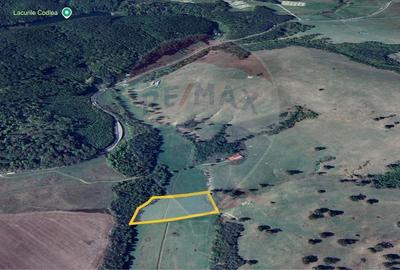 Teren 10,000mp Codlea / DN 1 - 2