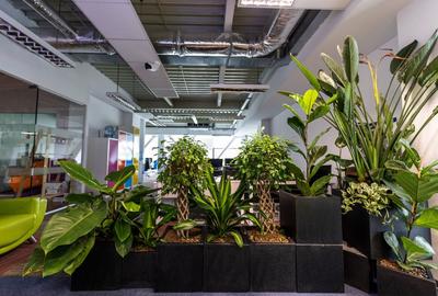 Spații de birouri clasa A de inchiriat, Pacurari, zona Mall Moldova- COMISION 0% - 8