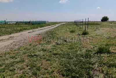 Terenuri de vânzare | Săcălaz| Parcele variate + oportunități investiționale - 5