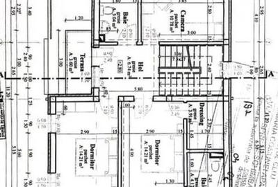 Casa individuala Dezmir, 180mp utili, 450mp teren - 16