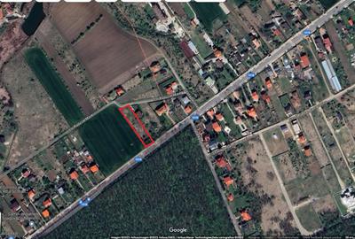 Snagov - Vlădiceasca, teren 1700 mp - 10