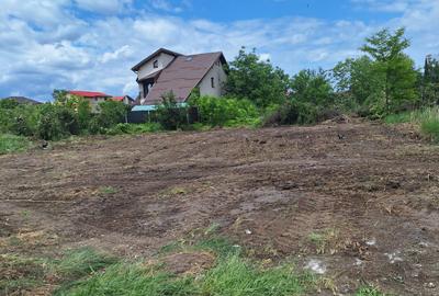 Curtea Domneasca-Domnesti-Tudor Vladimirescu-intravilan,urbanism P+2,asfalt - 2