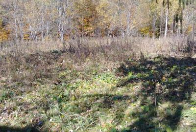 Alfa Invest Vinde Teren intravilan in Predeal - 1