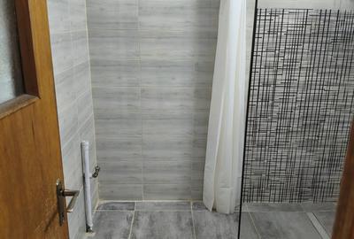 Piata Muncii-Calea Calarasilor-Apartament de 3 camere-decomandat - 17