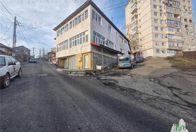 Vila unica de vanzare cu destinatie de locuinta si spatii comerciale, Medgidia, - 6